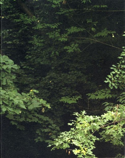  - Side Effects of Loving Me