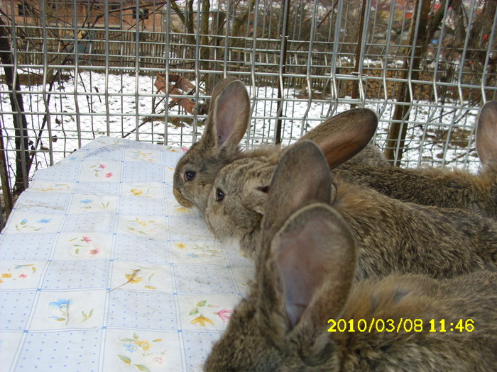 Picture 123