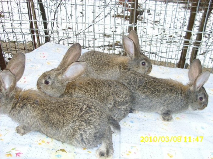 Picture 124