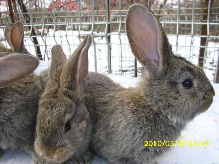Picture 125