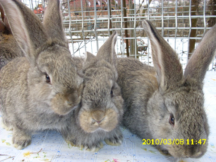 Picture 126
