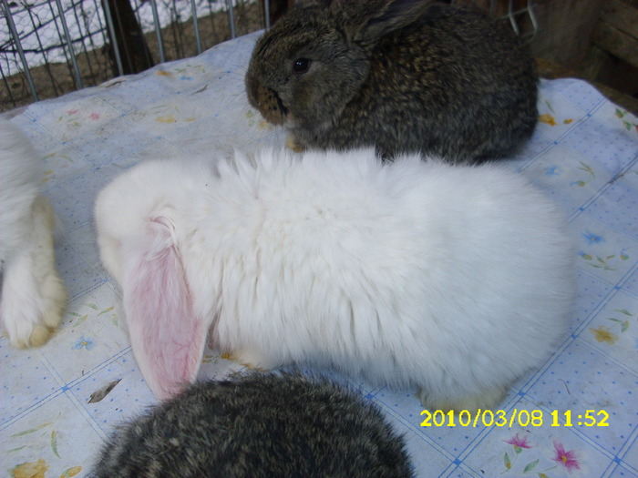 Picture 139