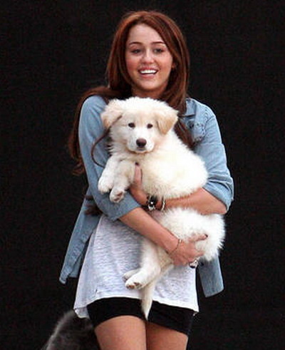 thumb_size1 - Miley And Hannah