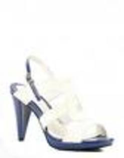 pantofi la moda (15)