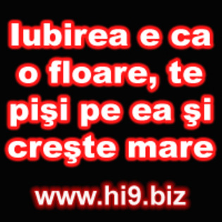 iubirea e ca o floare te pisi pe ea si creste mare - avatare texte