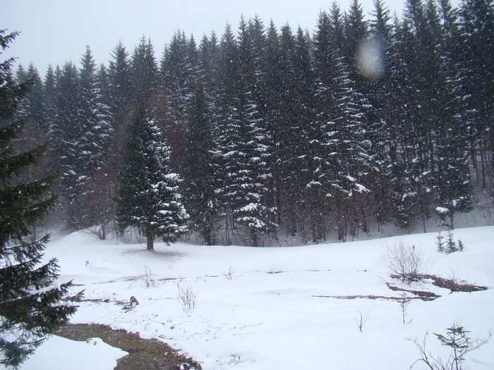 DSC05109