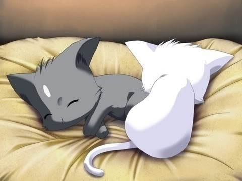 Anime-Kitties