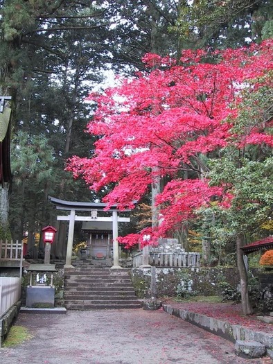 fujisengen - poze japonia