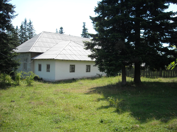 Picture 070 - Poze Soveja Lepsa-Muntii Vrancei