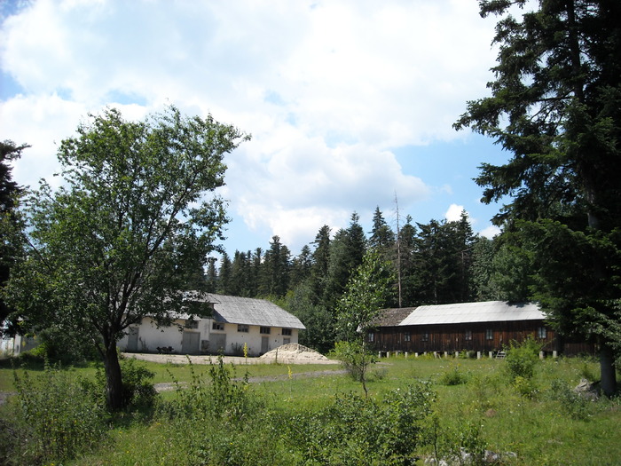 Ruine din Statiunea Soveja