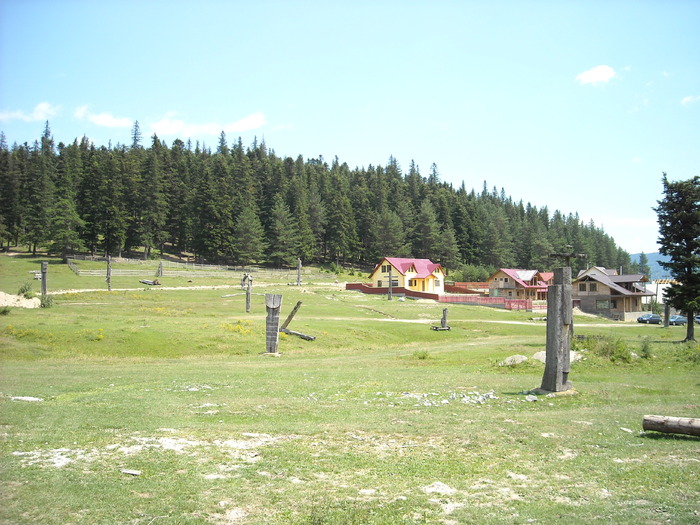 Dealul cu tabara de sculptura in lemn - Poze Soveja Lepsa-Muntii Vrancei