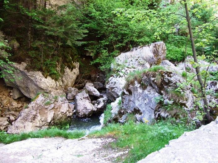 oglinzi mai 2009 173