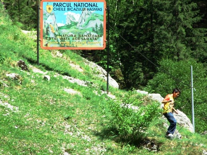 oglinzi mai 2009 176