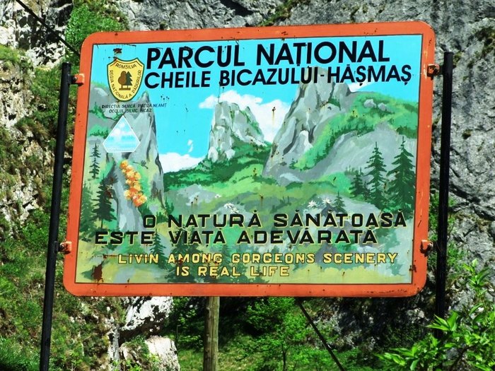 oglinzi mai 2009 178