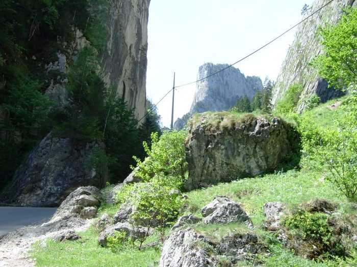 oglinzi mai 2009 179