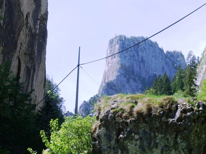 oglinzi mai 2009 180