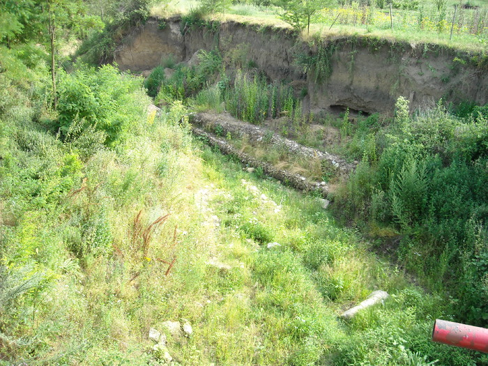 Picture 104 - Poze Soveja Lepsa-Muntii Vrancei