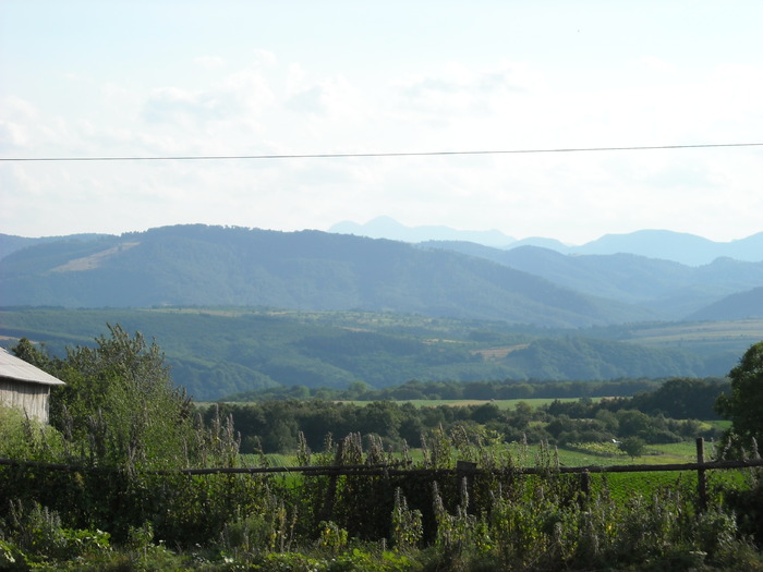 Peisaj Marasti - Poze Soveja Lepsa-Muntii Vrancei