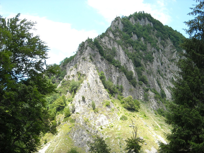 Rezervatia Naturala Cheile Tisitei