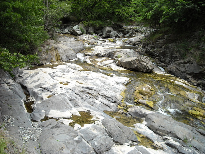 Rezervatia Naturala Cheile Tisitei