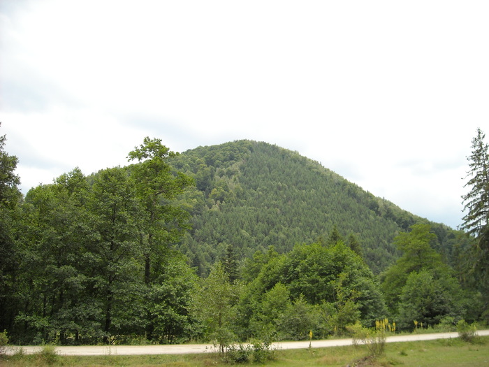 Drumul LepsaGresu-OjdulaTg.Secuiesc; Este distrus se poate merge doar cu treapta 1-2 si plin de pietre si praf
