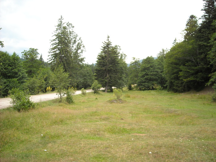 Drumul LepsaGresu-OjdulaTg.Secuiesc