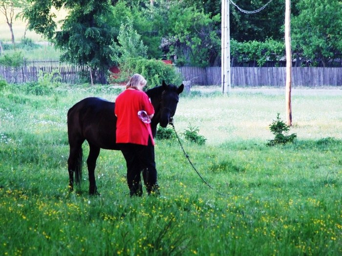 oglinzi mai 2009 361