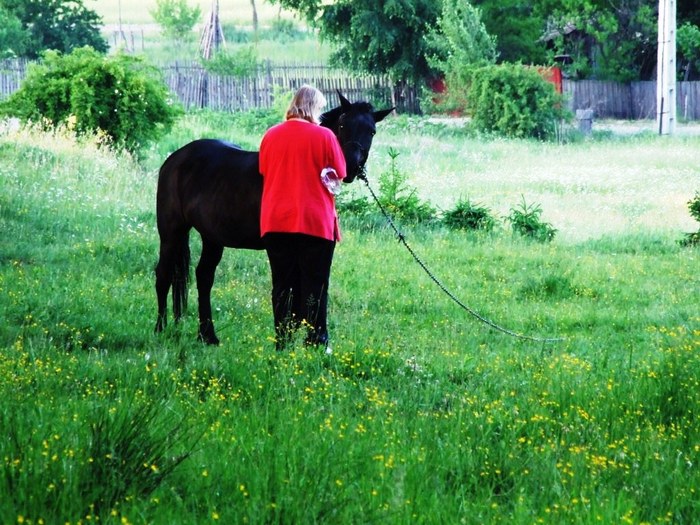 oglinzi mai 2009 362