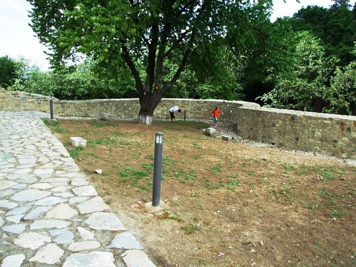 oglinzi mai 2009 450