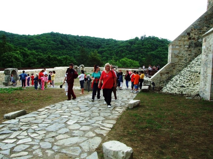 oglinzi mai 2009 464