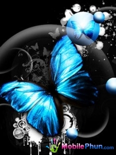 blue_butterfly_2 - Fluturi