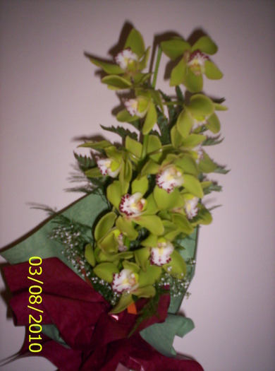 8 martie - flori de primavara 2010