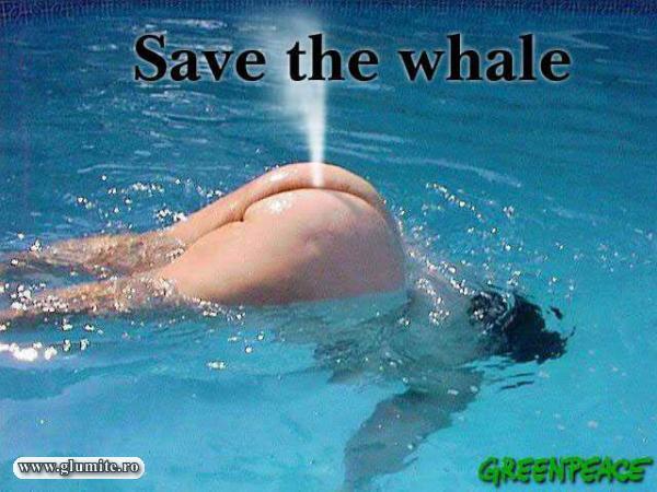 diverse-save_the_whales[1] - surpriza
