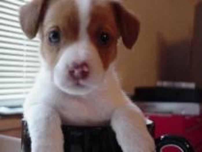 SOGOCDPDEGPEZSSCUYK[1]