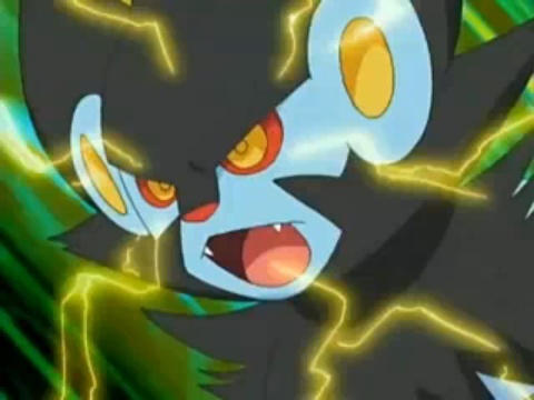 19 - Marble si Luxray