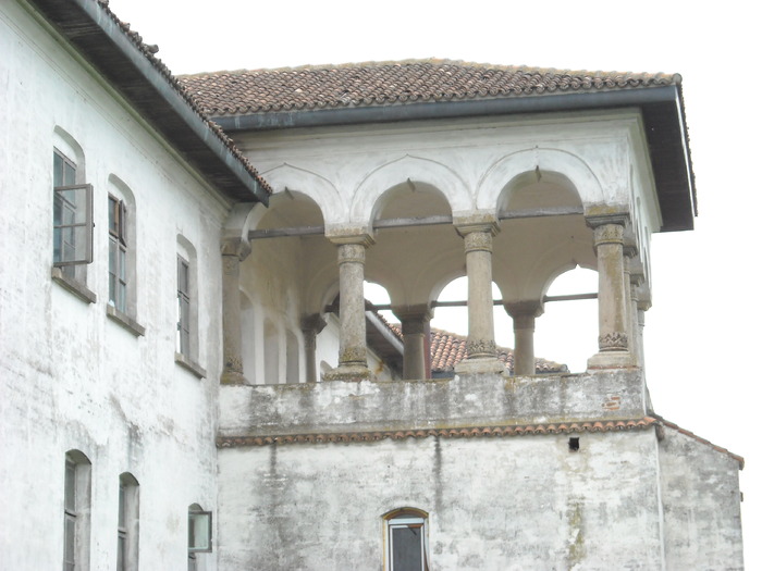 Picture 039 - Poze Manastirea Comana