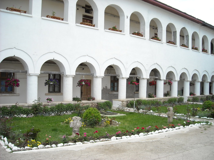 Picture 045 - Poze Manastirea Comana