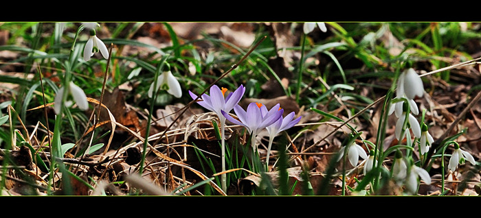 unaufgeraeumt-a20359289 - flori