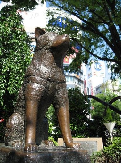 154775-hachiko-statue-shibuya-tokyo---famous-meeting-point-tokyo-japan - HachiADogStory