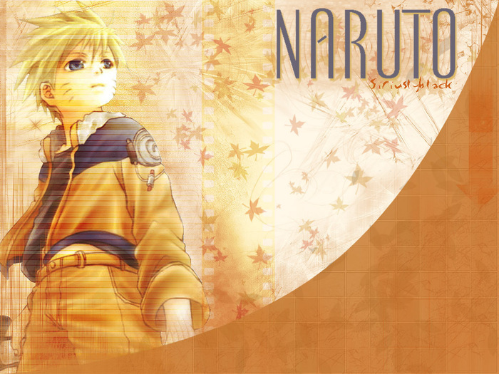 Naruto-Shippuuden-naruto-shippuuden-6906714-1024-768 - naruto all