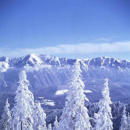 Muntii Bucegi - peisaj iarna (3) - peisaje de iarna