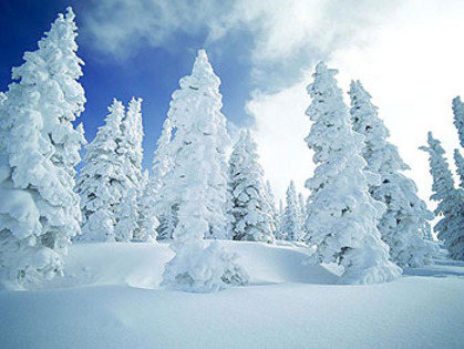 natura2 - peisaje de iarna