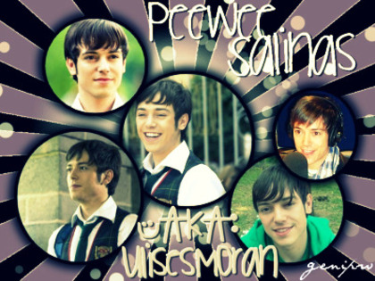 14w6sfs - camaleones