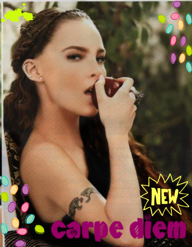 29wsfls - camaleones