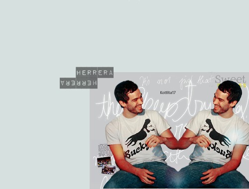 banponchosonrisacopia - camaleones