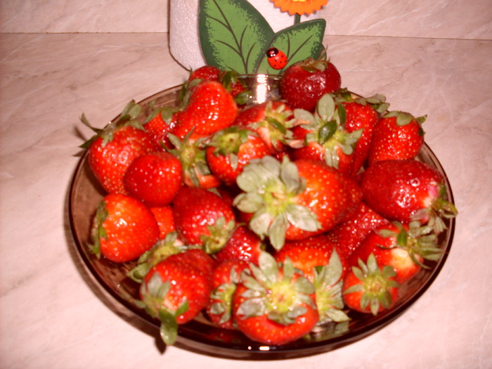 SDC12308 - Mancaruri gustoase