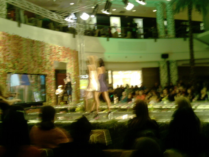 P110310_21.03