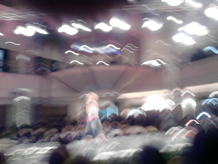 P110310_21.19 - concert plaza 11 martie
