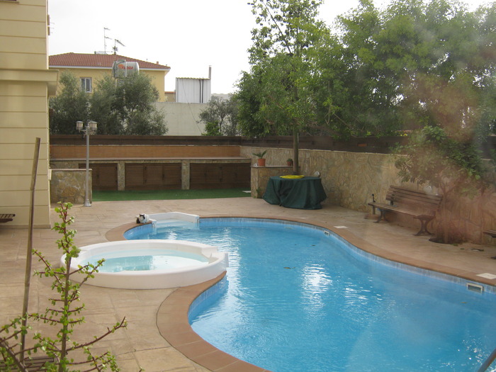 Pisica la piscina - Cipru