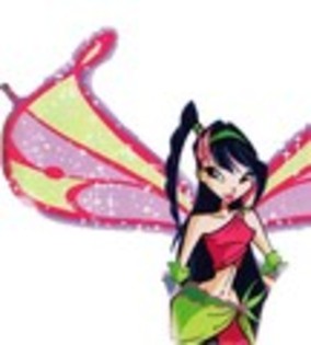 musa-the-winx-club-10821921-108-120